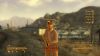 Fallout New Vegas - 12